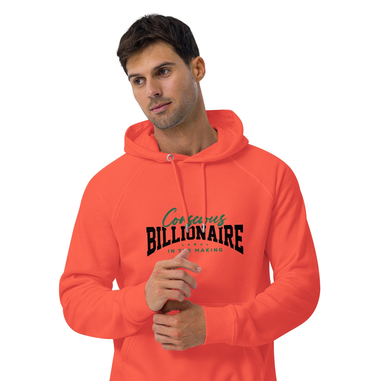 Conscious Billionaire In The Making Unisex eco raglan hoodie